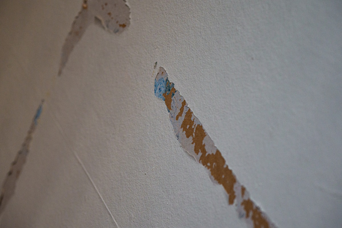 Storm Damage Repair service in Chino, CA